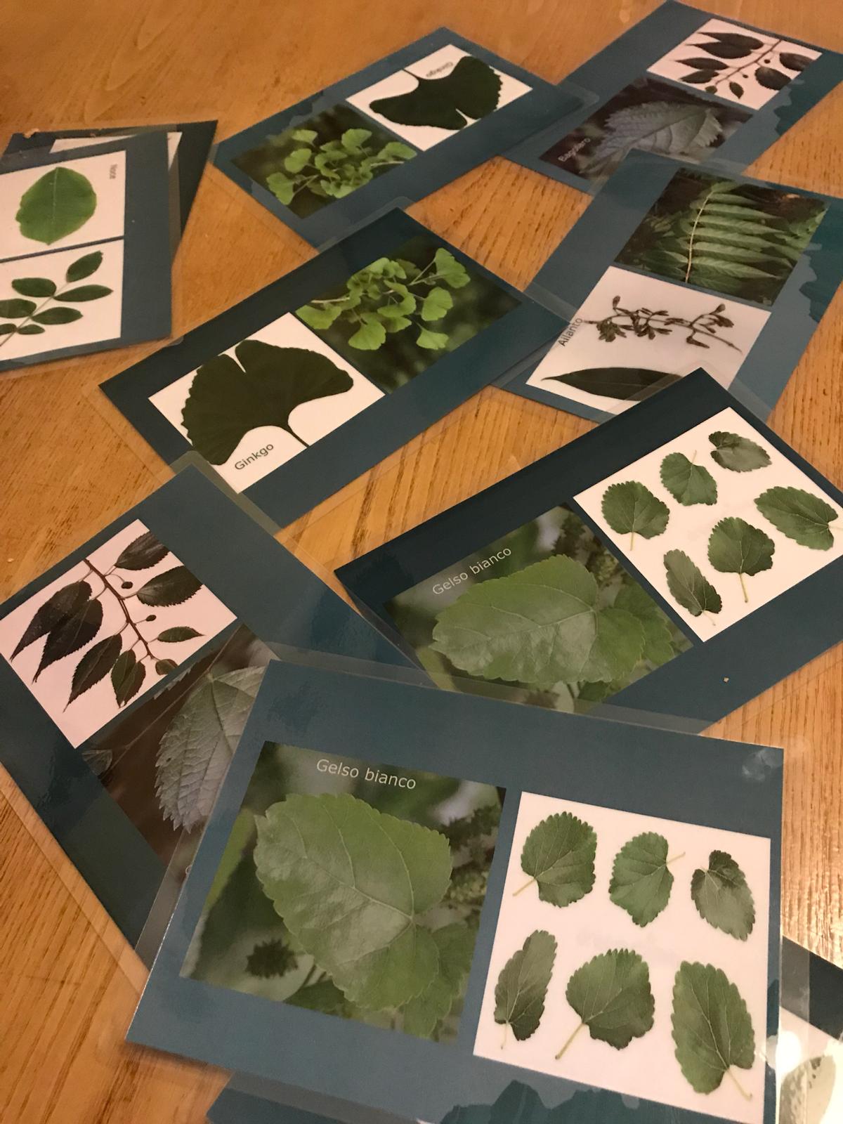 WhatsApp Image 2018-10-01 at 18.42.22.jpeg